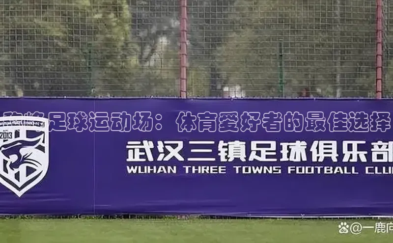 贝博bb平台体育正规吗宣亚国际黎峰足球运动场：体育爱好者的最佳选择