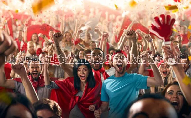 贝博betball体育app下载百度手机助手成为职业足球运动员的梦想-我的足球之路