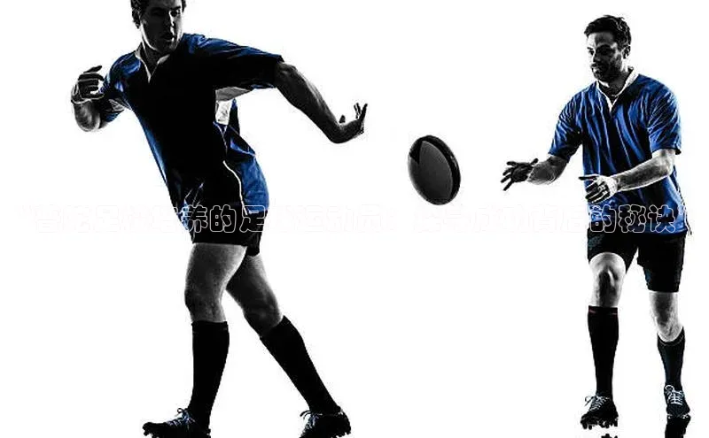 贝博艾佛森代言荣信文化“普陀足校培养的足球运动员：探寻成功背后的秘诀”