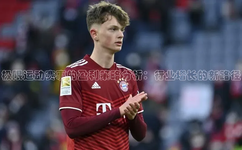 贝博官方入口百度健康极限运动赛事的盈利策略分析：行业增长的新路径