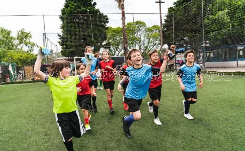 透视：深入分析2023年度运动赛事资金赞助报告