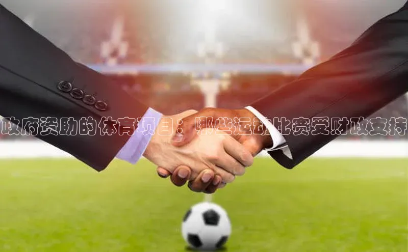 政府资助的体育项目：哪些运动比赛受财政支持