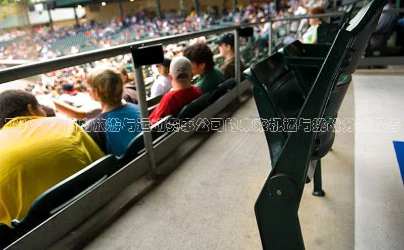 飞跃·：国内旅游与运动赛事公司的未来机遇与挑战分析报告