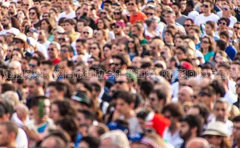 竞技风采：烟台市运动会跆拳道赛事精彩回顾与展望