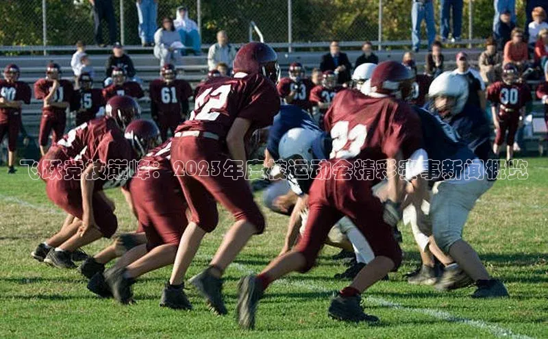 飞跃竞技巅峰：2023年度校运动会精彩赛事新闻概览