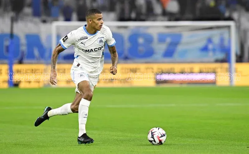 世界顶级骑马运动赛事排行榜：从第1到第10名的顶尖赛事分析