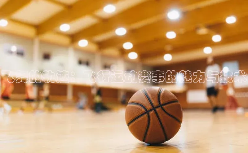 飞舞的轨迹：飞行运动赛事的魅力与技术