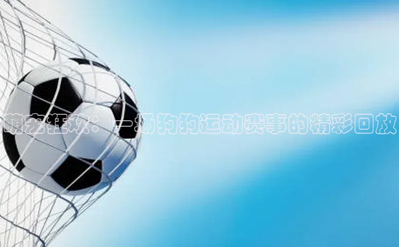 萌宠狂欢：一场狗狗运动赛事的精彩回放