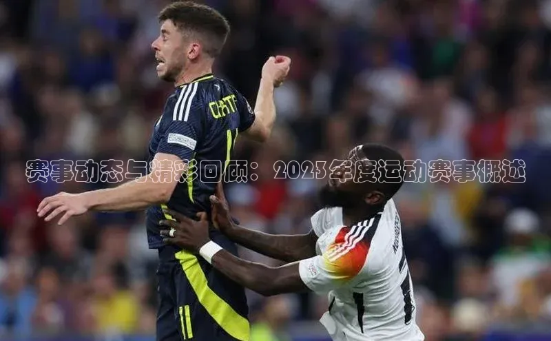 赛事动态与精彩回顾：2023年度运动赛事概述