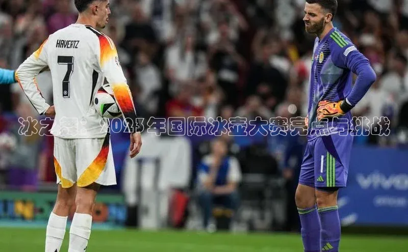 冰之舞：2023年国际冰壶大赛亮点与挑战