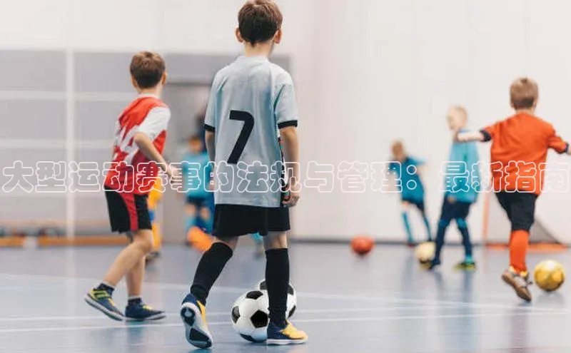 大型运动赛事的法规与管理：最新指南