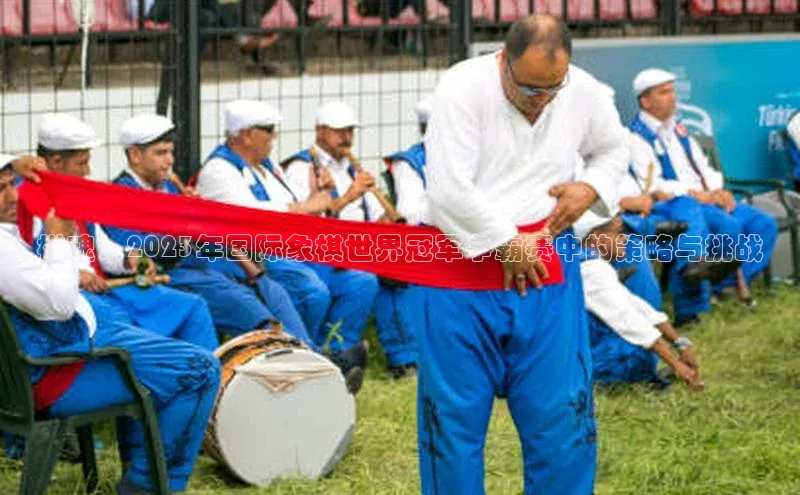 棋魂：2023年国际象棋世界冠军争霸赛中的策略与挑战
