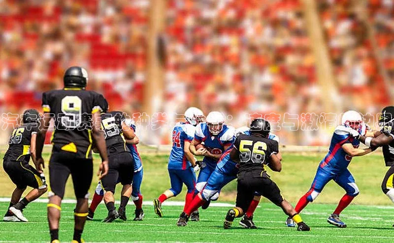 贝博BBbet官网首页