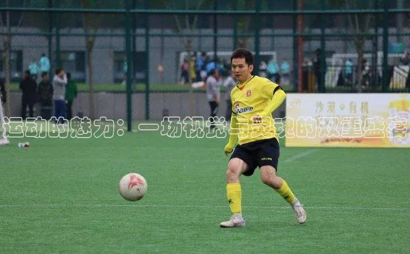 贝博平台客户端app