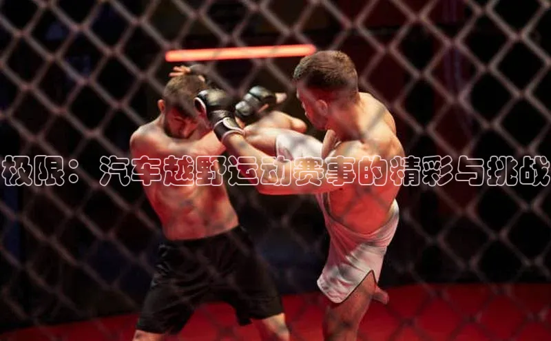 极限：汽车越野运动赛事的精彩与挑战